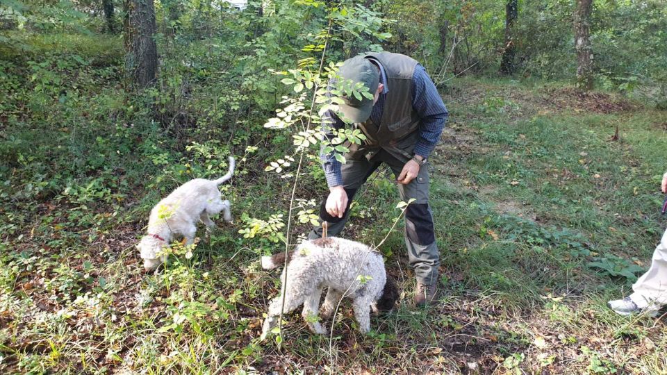 From Florence: Truffle Hunt and Lunch in the Countryside - Common questions