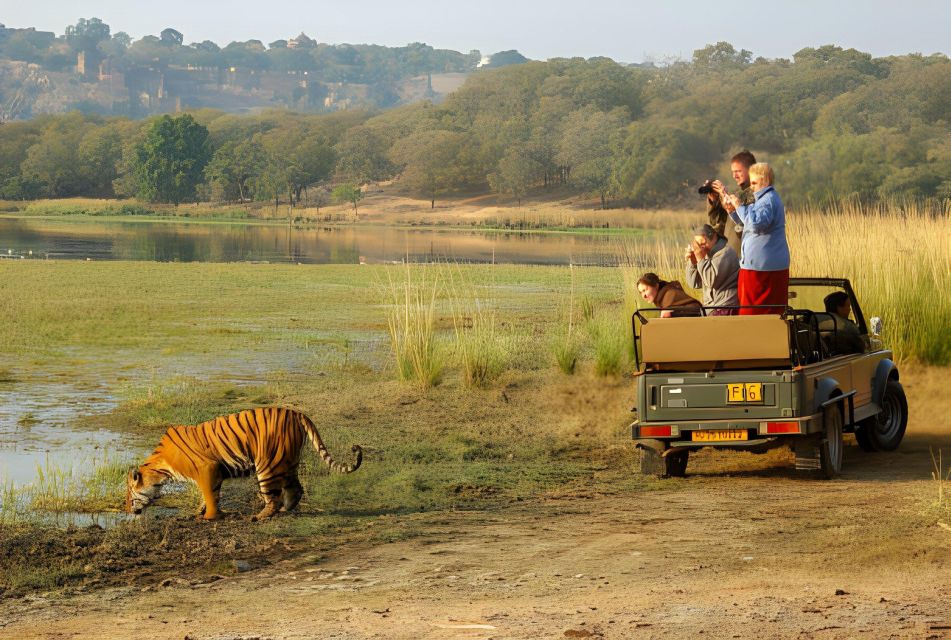 From Jaipur : 2 Days Ranthambore Tiger Safari Tour By Car - Last Words