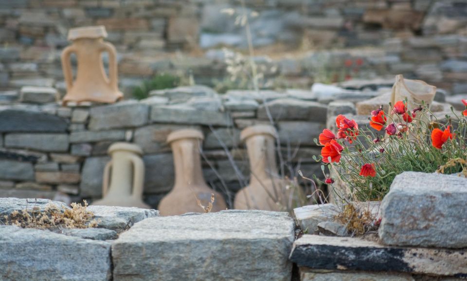 From Naxos: Delos and Mykonos Day Trip With Licensed Guide - Tour Inclusions