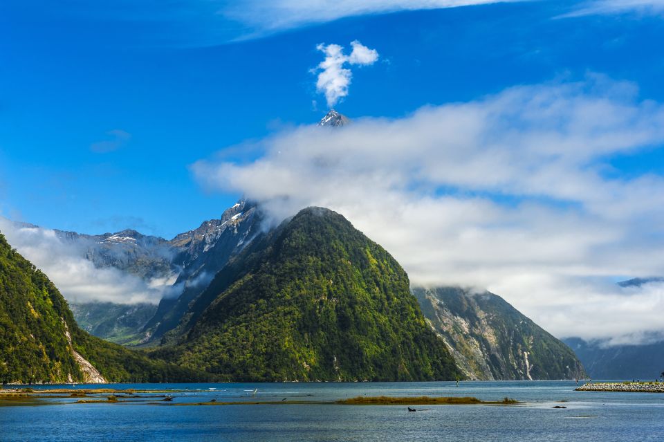 From Queenstown: Milford Sound Full-Day Tour With Lunch - Common questions