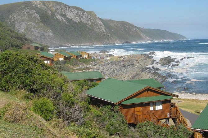 Garden Route Adventure Tour With Forest Canopy Zipline  - Port Elizabeth - Booking and Confirmation