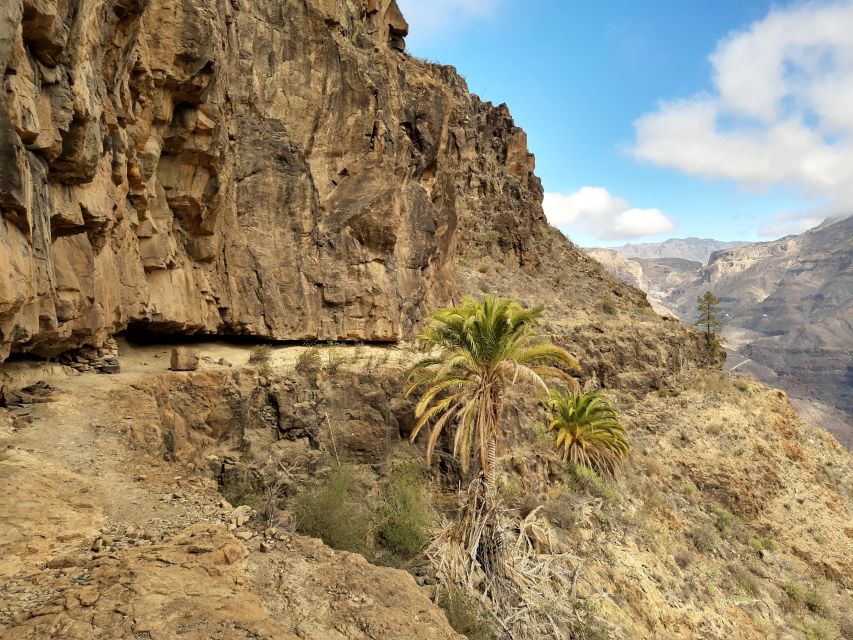 Gran Canaria: Full-Day Guided Hiking With Snacks - Last Words