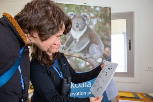 Great Ocean Road: Guided Wildlife Walk That Supports Nature - Common questions