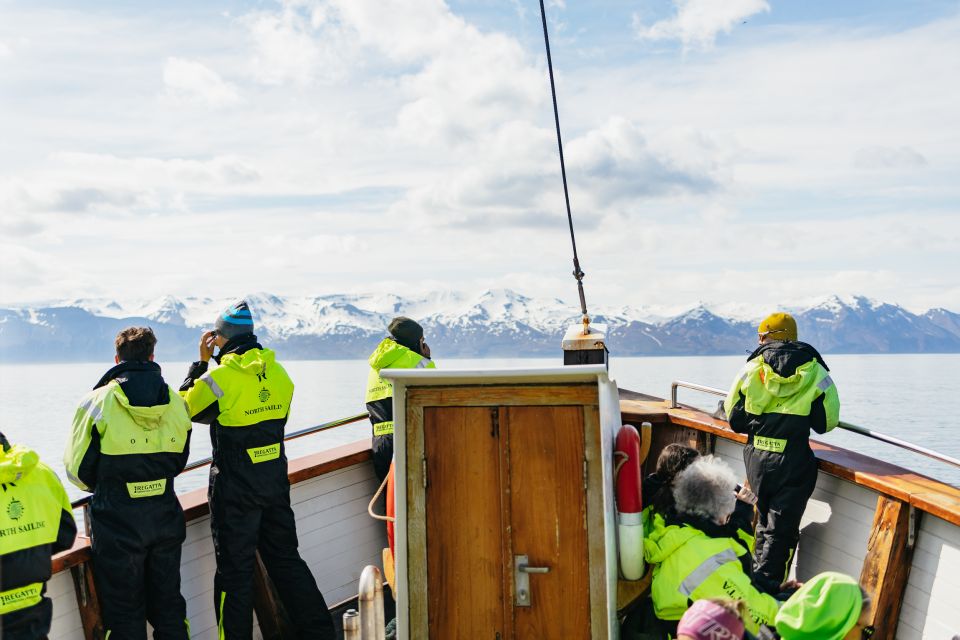 Húsavík: Whale Watching Tour With Guide - Last Words