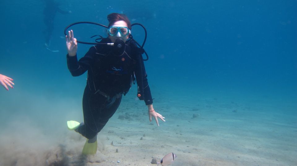 Kos: Beginner Scuba Diving at Pserimos Island - Common questions