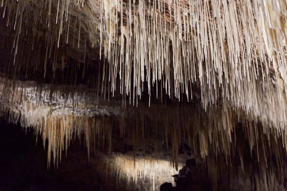 Margaret River: Lake Cave Fully-Guided Tour - Meeting Point