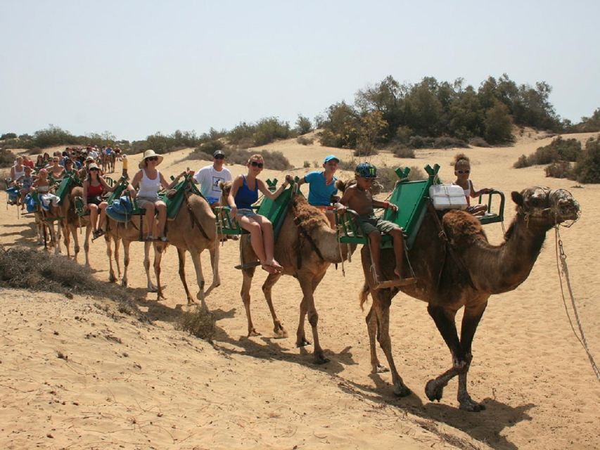 Maspalomas: E-Bike Tour With Camel Ride - Last Words