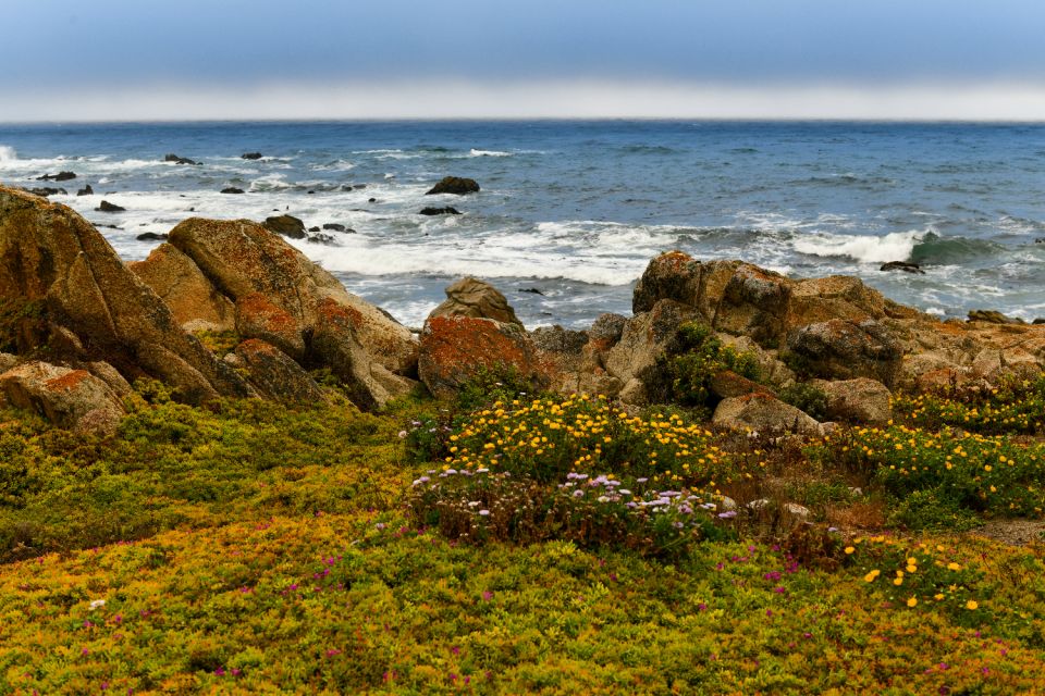 Monterey: 17-Mile Drive Self-Guided Audio Tour - Booking and Reservation Process