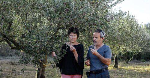 Montpellier : Visit Lavender Field and an Olive Oil Mill - Last Words