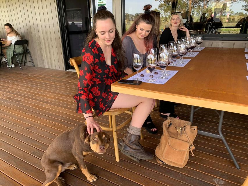 Newcastle: Hunter Valley Wine, Gin, Cheese & Chocolate Tour - Last Words