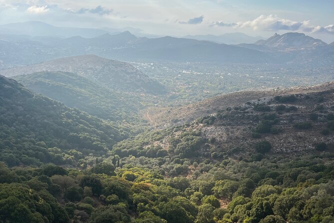 Private Day Tour in Naxos Lunch Included - Tour Overview