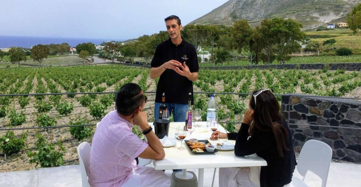 Private Group Visit to Akrotiri & 3 Wineries With Tastings - Common questions