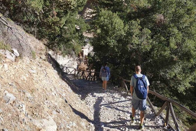 Private Roundtrip Transfer From Chania to Samaria Gorge Park - Important Reminders