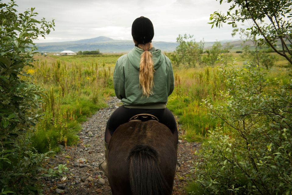 Reykjavik: Silfra Snorkel Tour and Horse Ride With Photos - Customer Reviews