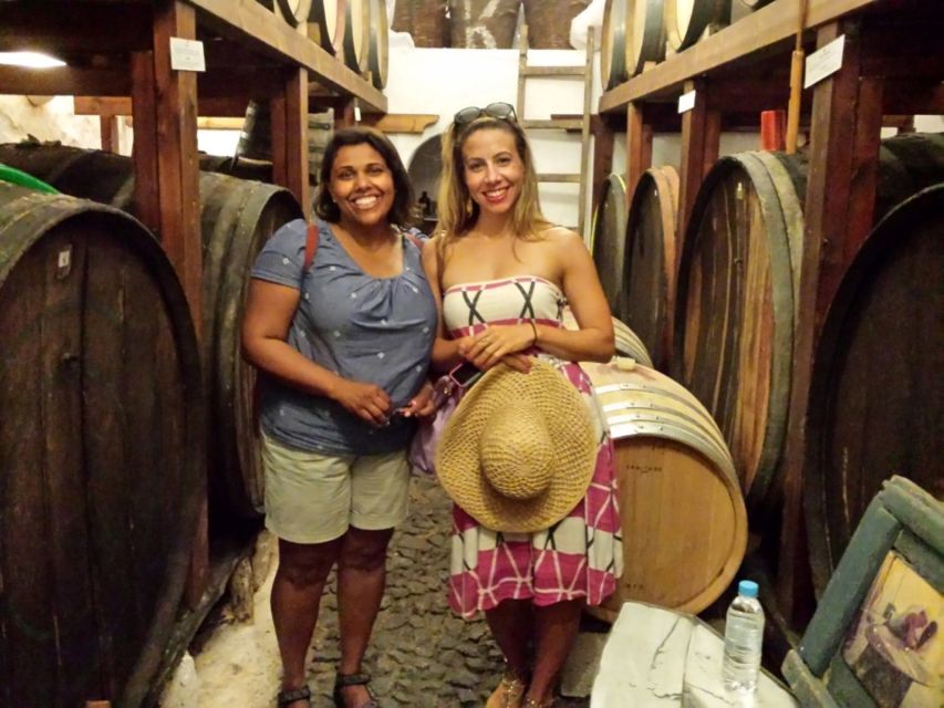 Santorini: History & Wine Trails Tour - Last Words