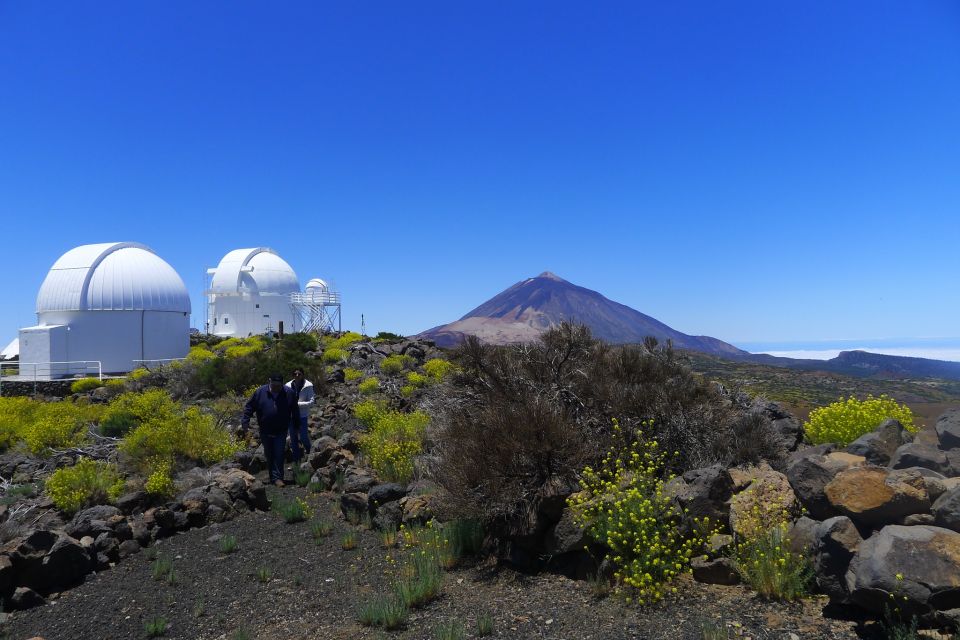 Tenerife: Take a Guided Tour of Mount Teide Observatory - Last Words