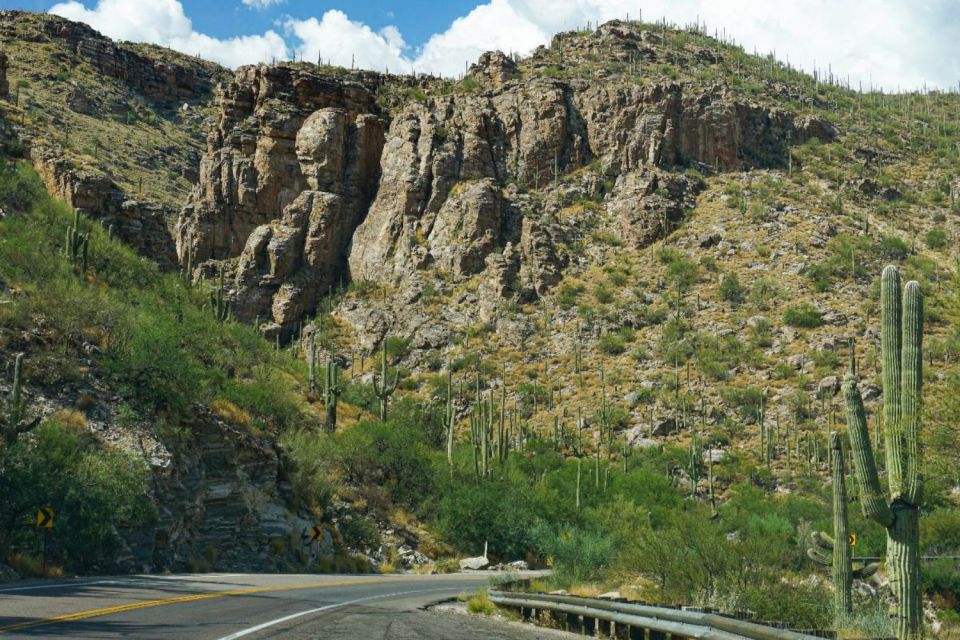 Tucson: Mt Lemmon & Saguaro NP Self-Guided Bundle Tour - App Instructions