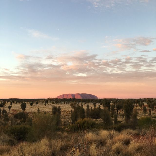 Uluru: Field of Light Sunrise Tour With Hot Drinks - Common questions