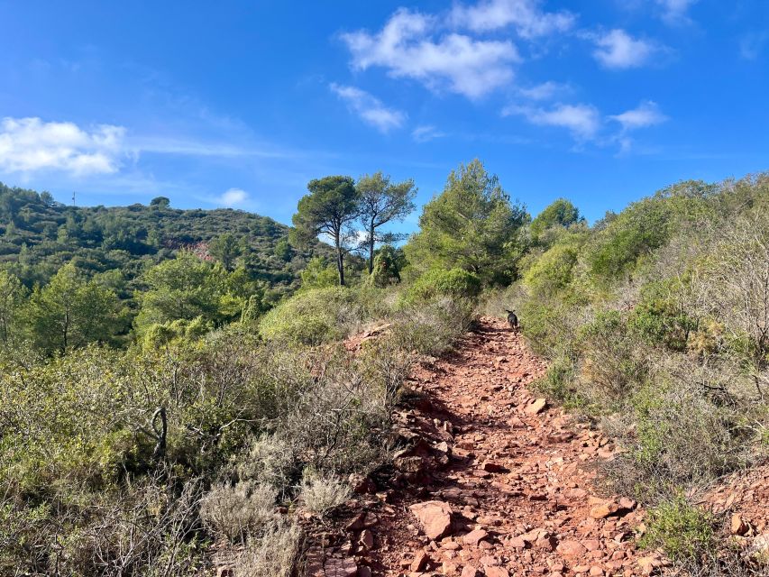 Valencia: Sierra Calderona & El Garbí Mountain Hiking Tour - Additional Tips