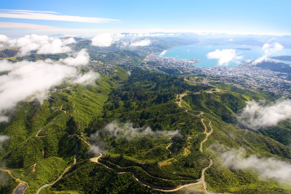 Zealandia by Day Tour - Common questions