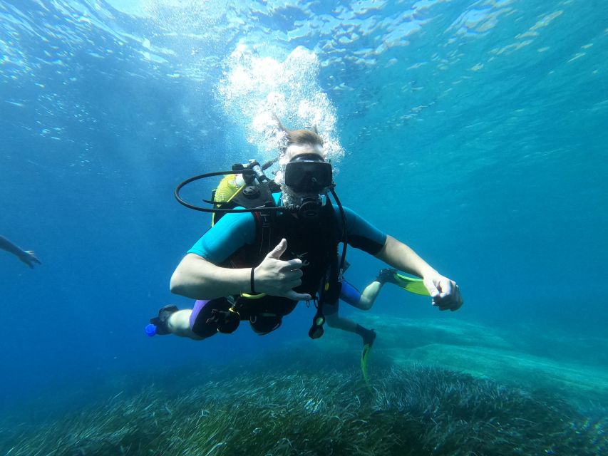 Andros: Get Your Padi Open Water Certificate! - Instructor: English, Greek, Spanish