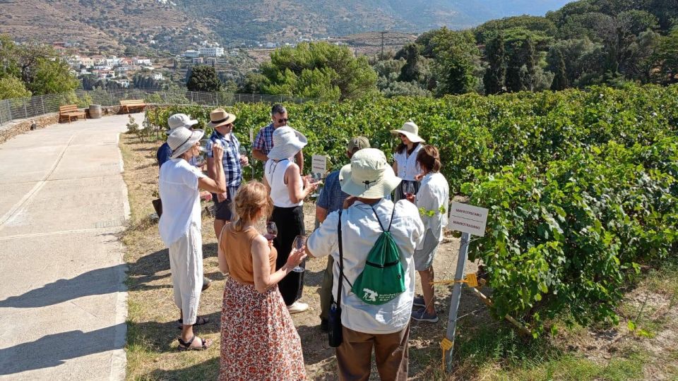 Andros Wine Tasting & Pythara Waterfalls Half-Day Tour - Common questions