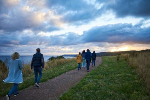 Apollo Bay: Dusk Discovery Great Ocean Road Wildlife Tour - Last Words