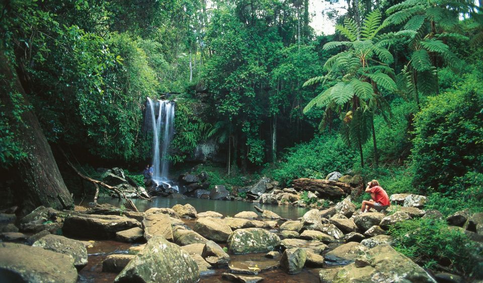 Brisbane: Hop on Hop off Bus to Tamborine Mountain - Benefits of Hop on Hop off