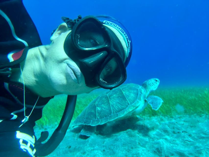 Diving Course for Beginners in Turtle Area Tenerife - Last Words