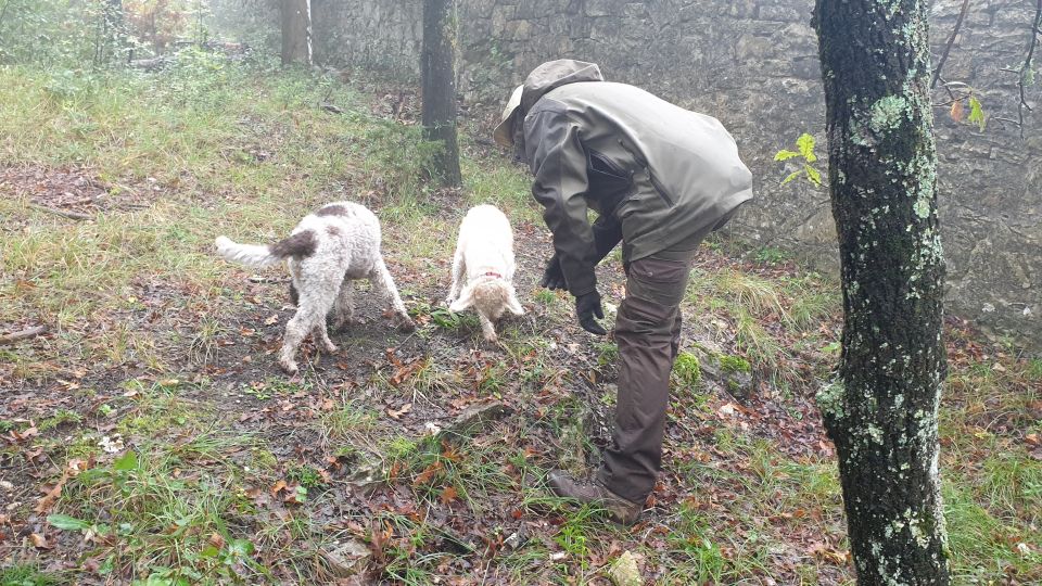 From Florence: Truffle Hunt and Lunch in the Countryside - Last Words