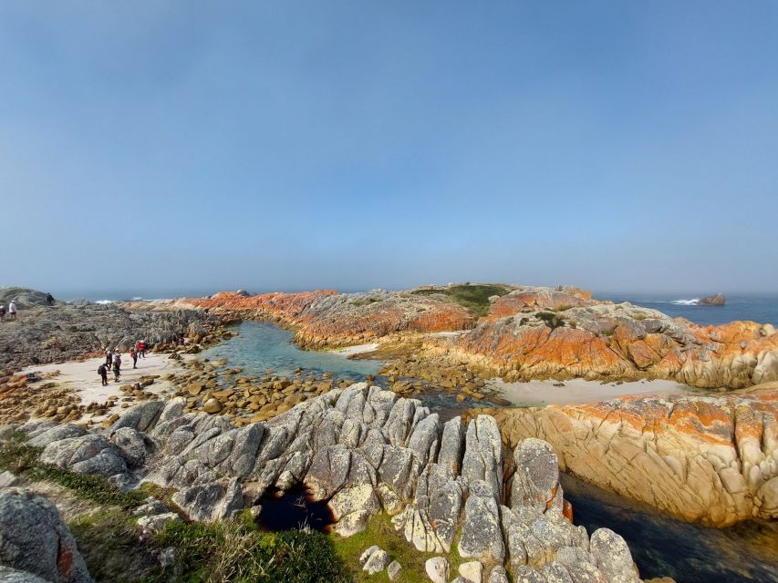 From Launceston: Bay of Fires Off-Peak Hiking 3-Day Tour - Last Words