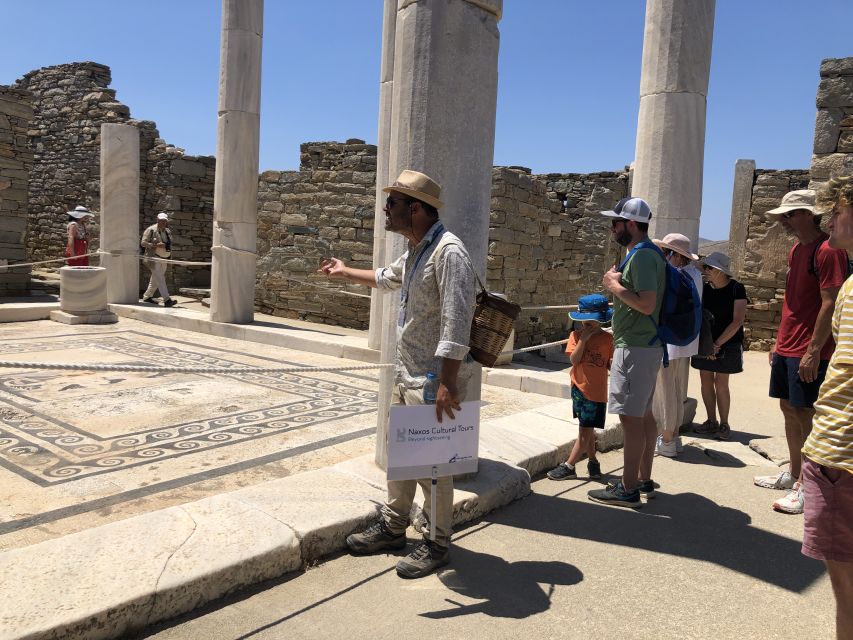 From Naxos: Delos and Mykonos Day Trip With Licensed Guide - Important Information