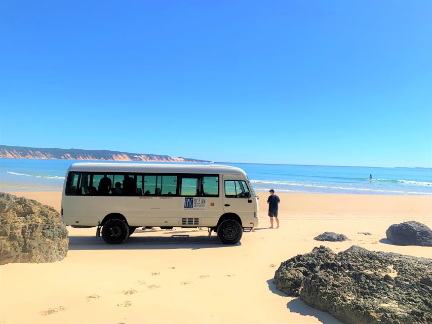 From Noosa: Dolphin Sea Kayaking and Beach 4X4 Tour - Last Words