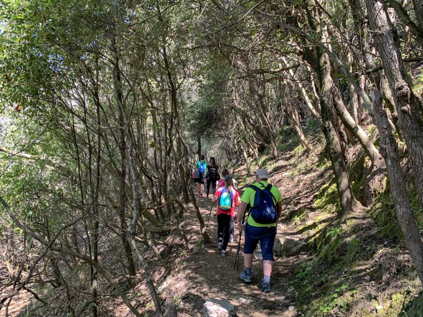 From Sorrento: Path of the Gods Hiking Experience - Common questions