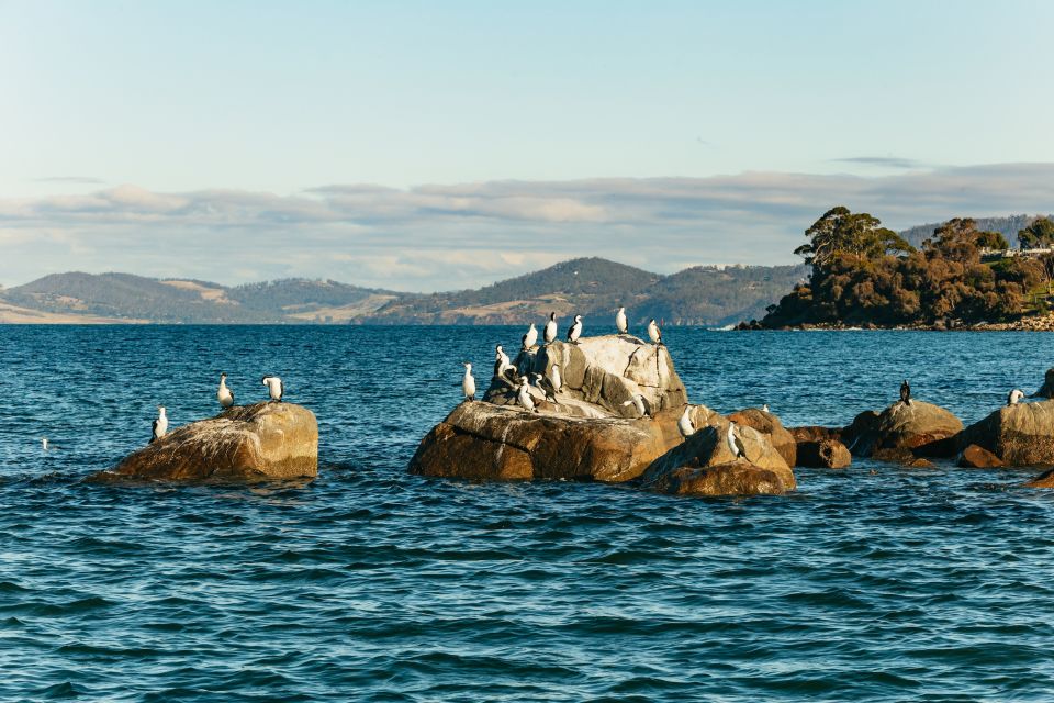 Hobart: 2.5-hour Iron Pot Lighthouse Cruise - Last Words