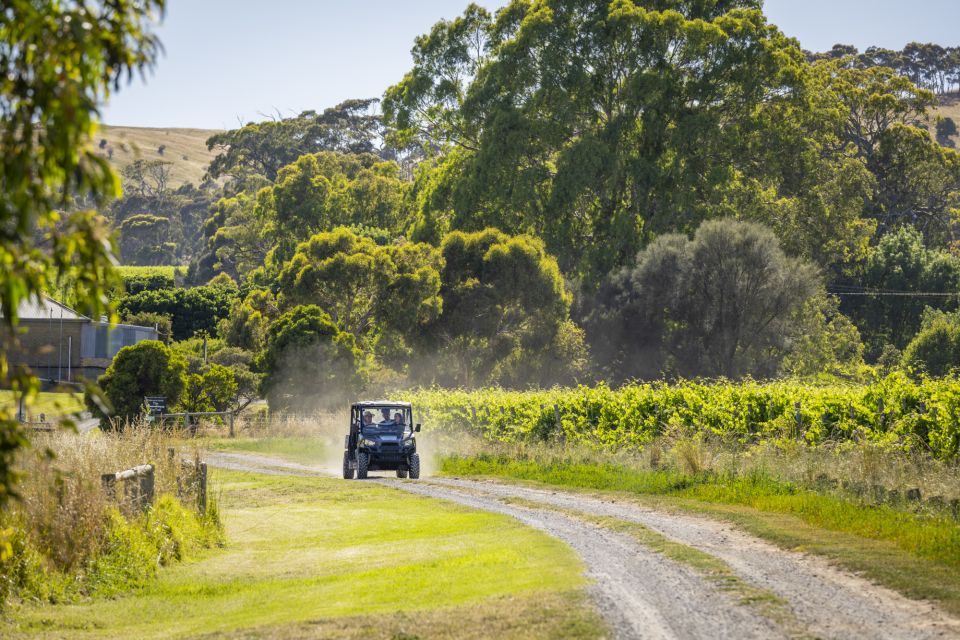 McLaren Vale: Biodynamic Wine Tasting and Degustation Lunch - Common questions