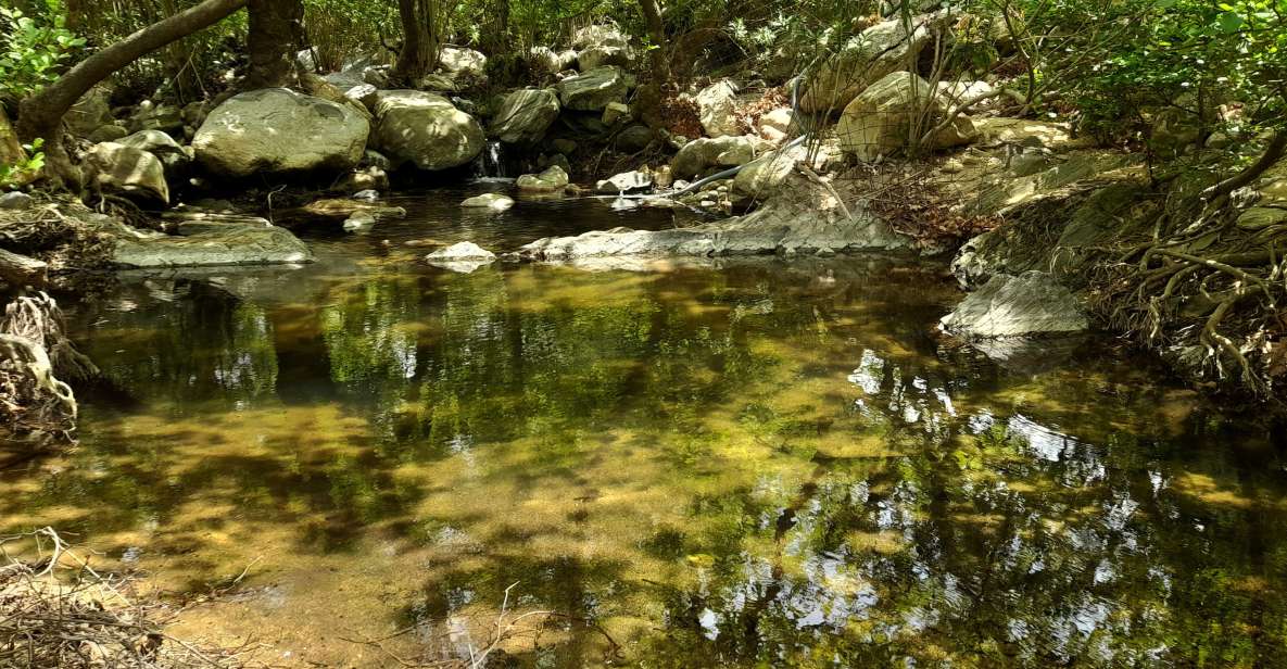 Naxos: a Riverbank Adventure (Kinidaros - Eggares Villages) - Last Words