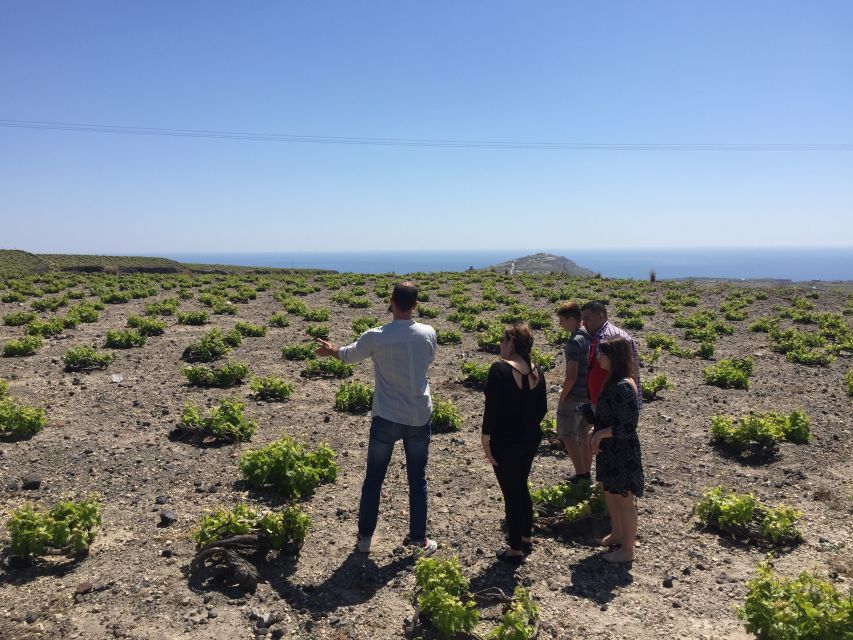 Private Group Visit to Akrotiri & 3 Wineries With Tastings - Last Words