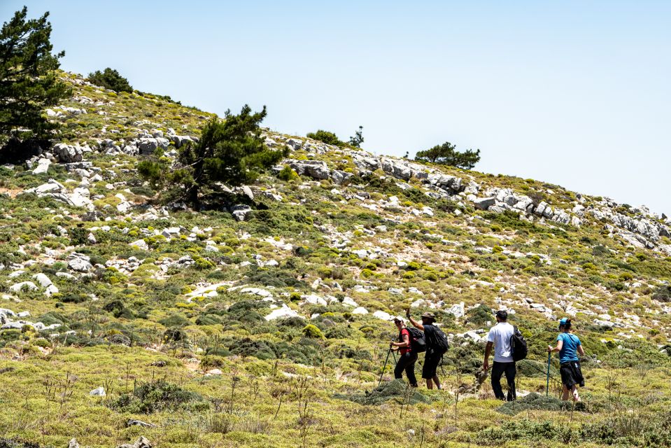 Rhodes: Hiking Tour to the Summit of Akramitis With Photos - Common questions