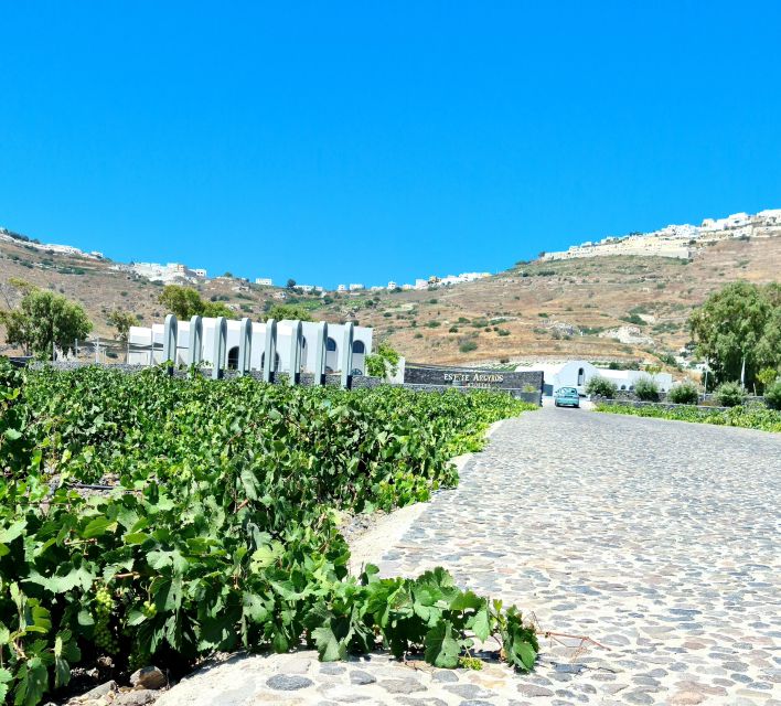 Santorini: Authentic Private Wine Tasting Tour - Last Words