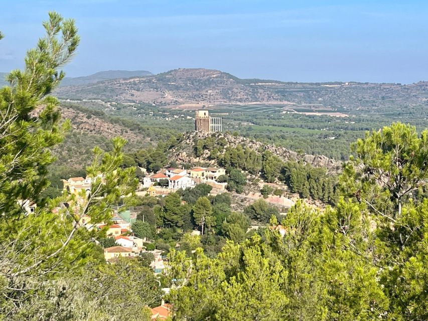 Valencia: Sierra Calderona & El Garbí Mountain Hiking Tour - Common questions