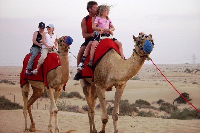Abu Dhabi Morning Desert Safari With Camel Ride & Sand Boarding - Key Points