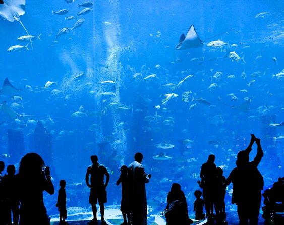 Admission Tickets Aquaventure and Lost Chambers Aquarium Dubai - Key Points