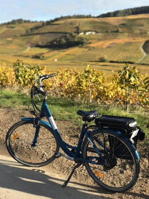 Afternoon E-Bike Champagne Tour From Reims - Key Points