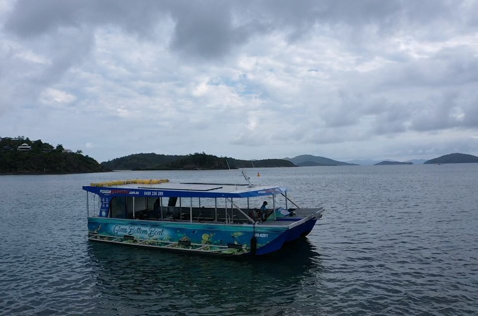 Airlie Beach: Glass-Bottom Boat Tour - Key Points