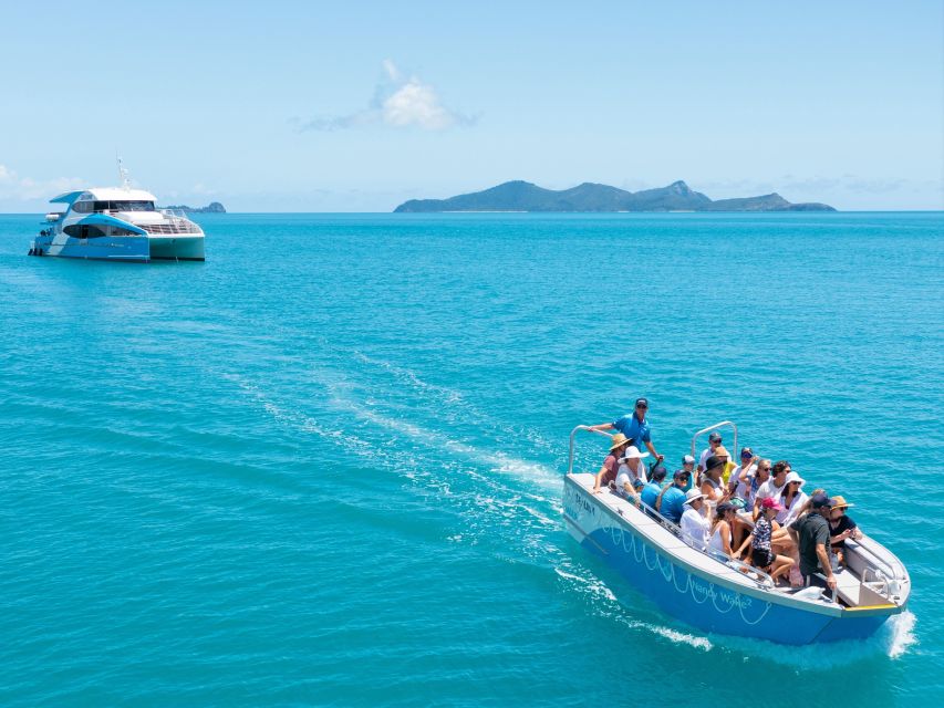 Airlie Beach: Half Day Cruise Direct to Whitehaven Beach - Key Points