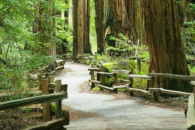 Alcatraz and Muir Woods Express With Golden Gate Bridge Visit - Tour Details