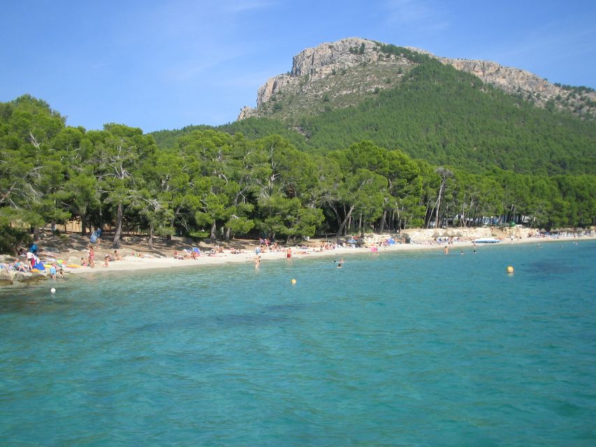 Alcudia: Trip to Formentor Beach - Key Points