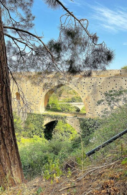 All-Day Knossos Palace Tour & Olive Mill Visit - Tour Location and Provider