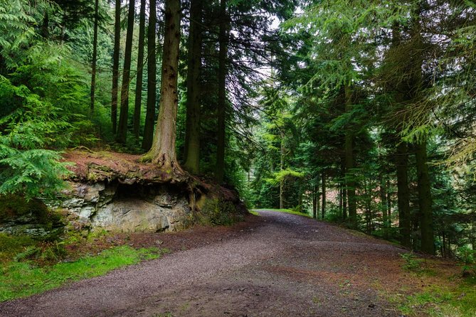 Ambleside Woodland Walking Tour  - Windermere - Key Points